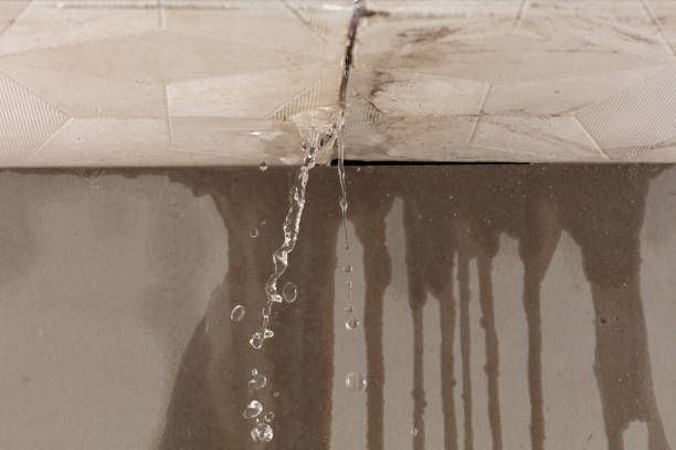 Professional Structural Drying technician working in Martinsville, IN